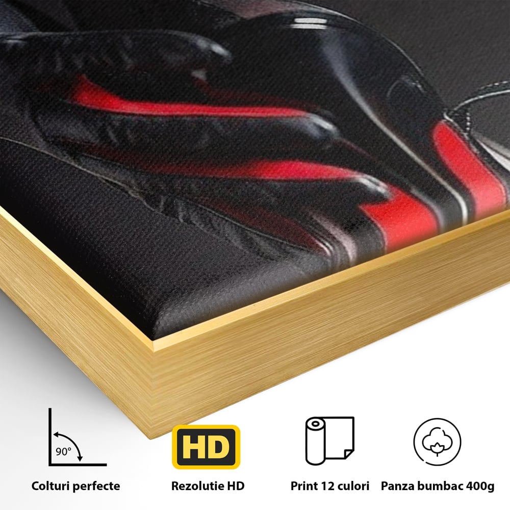 Detaliu al suprafetei: tablou canvas cu pantof rosu si picior, in rama de aluminiu auriu