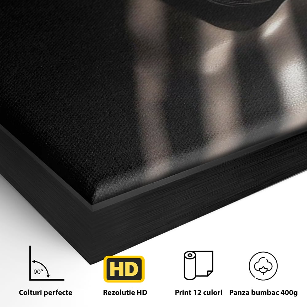 Detaliu al suprafetei: tablou canvas cu silueta feminina in umbra si lumina, in rama de aluminiu negru