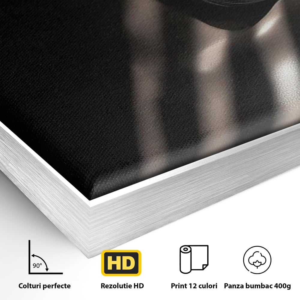 Detaliu al suprafetei: tablou canvas cu silueta feminina in umbra si lumina, in rama de aluminiu argintiu