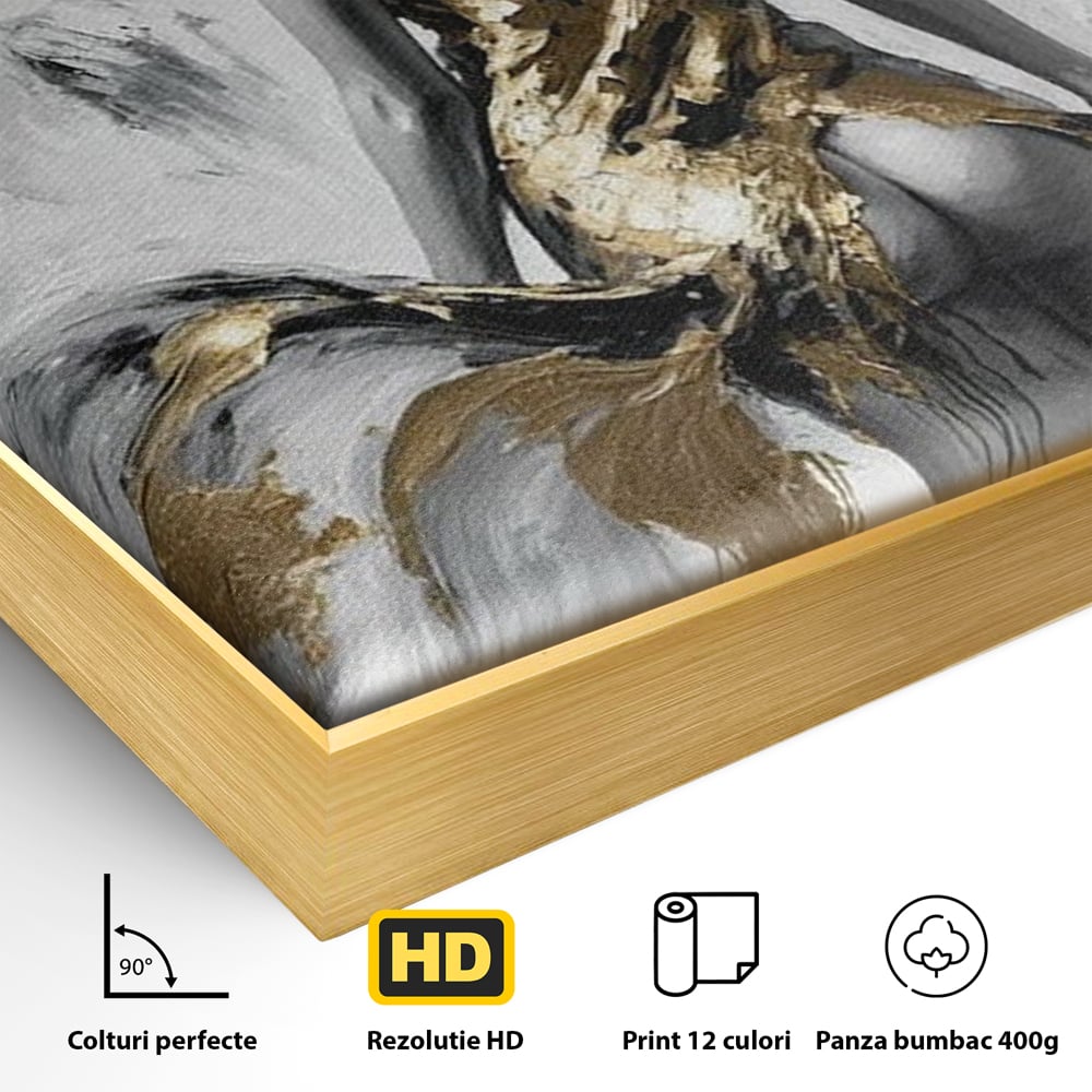 Detaliu al suprafetei: tablou canvas cu silueta de femeie, in rama de aluminiu auriu