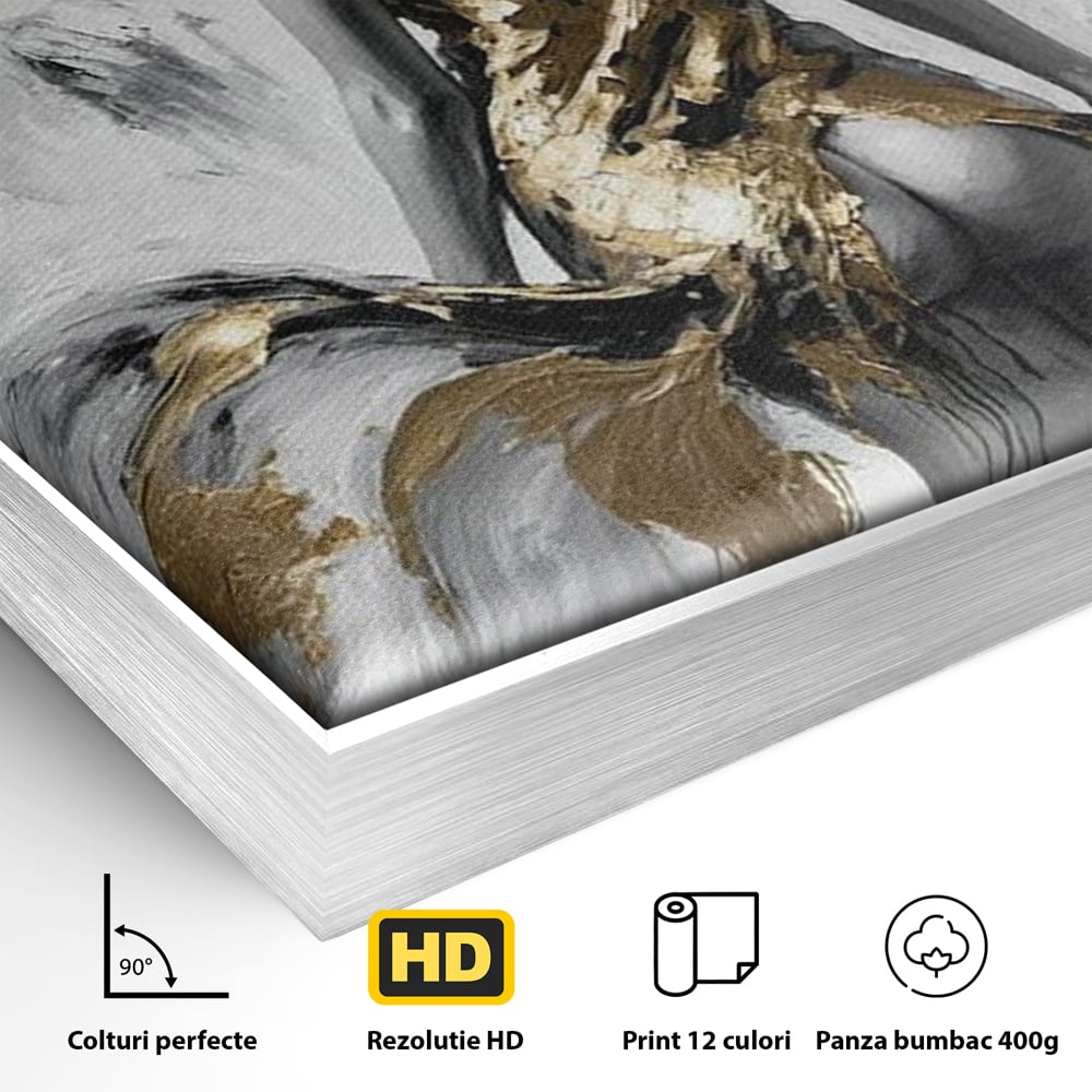 Detaliu al suprafetei: tablou canvas cu silueta de femeie, in rama de aluminiu argintiu