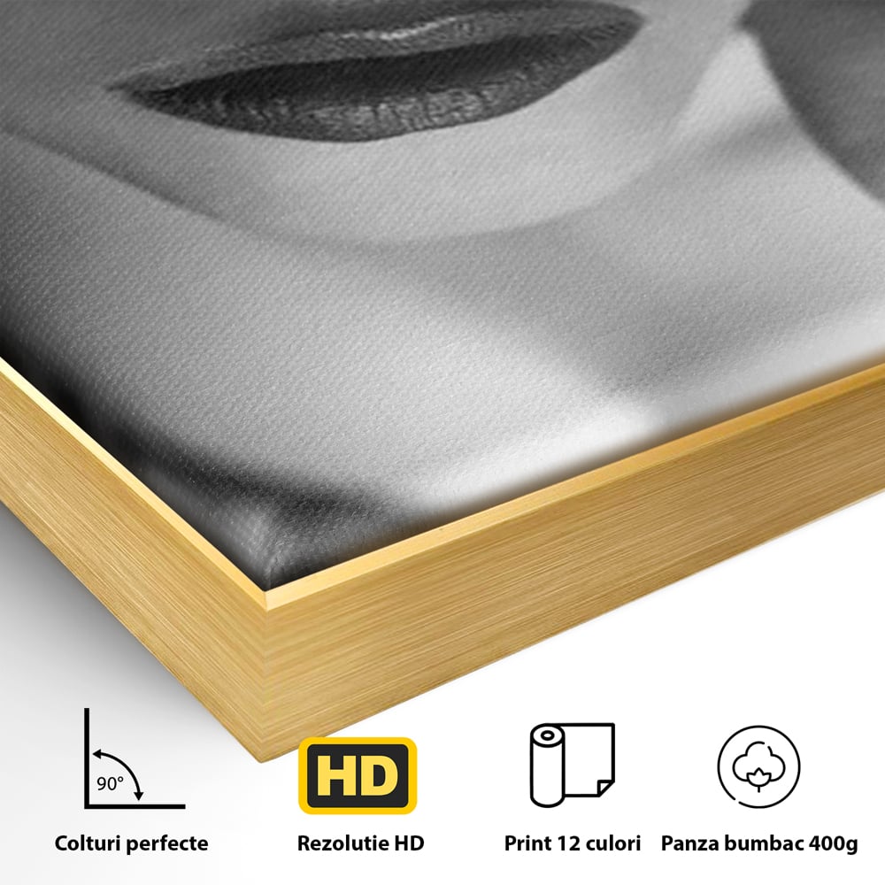 Detaliu al suprafetei: tablou canvas cu femeie purtand masca, in rama de aluminiu auriu
