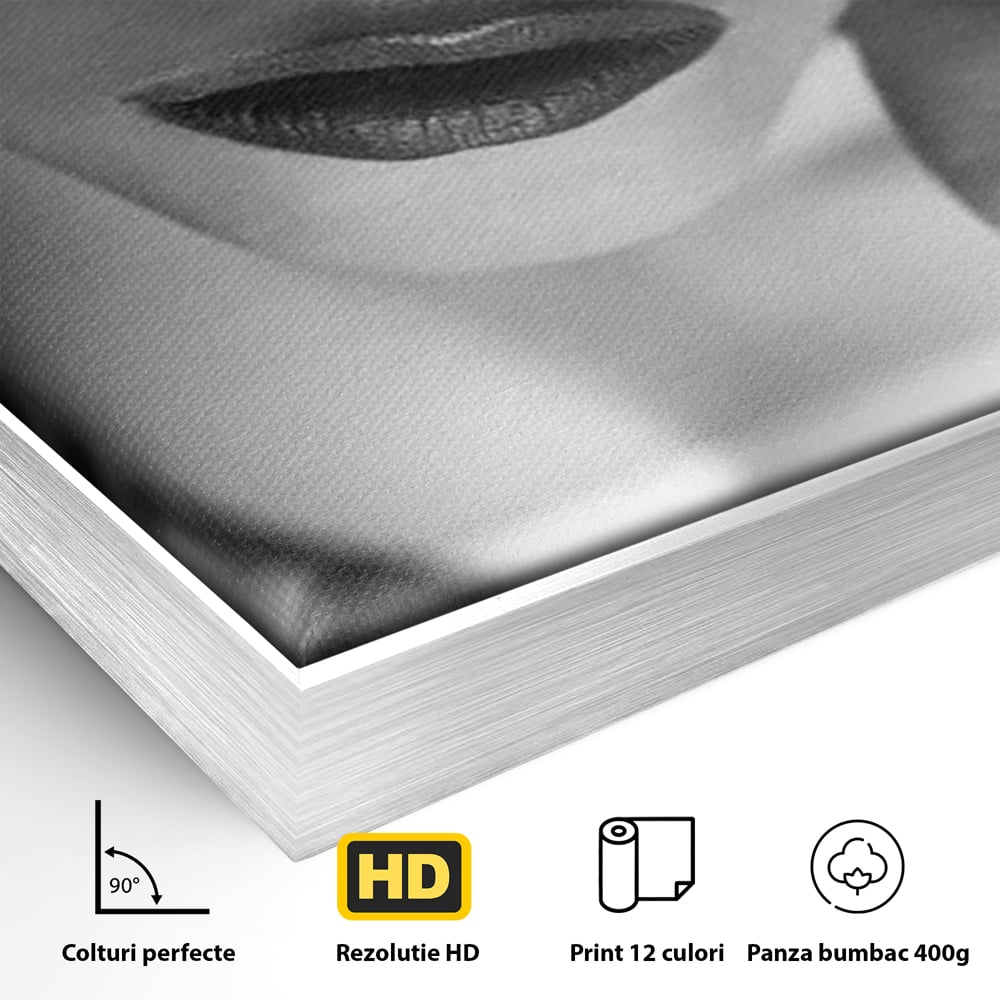 Detaliu al suprafetei: tablou canvas cu femeie purtand masca, in rama de aluminiu argintiu