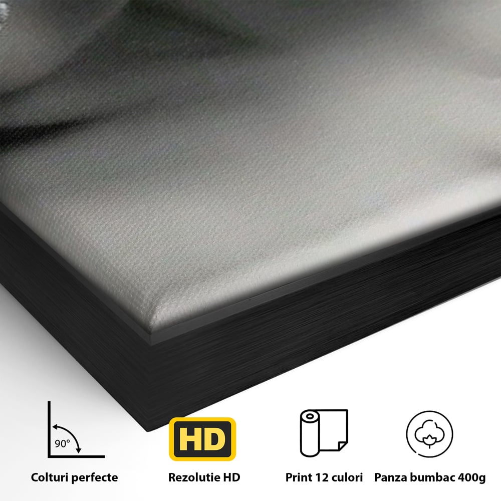 Detaliu al suprafetei: tablou canvas cu masca si mar, in rama de aluminiu negru