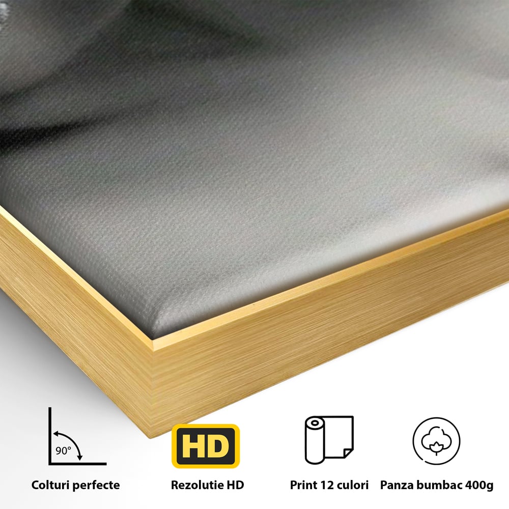 Detaliu al suprafetei: tablou canvas cu masca si mar, in rama de aluminiu auriu