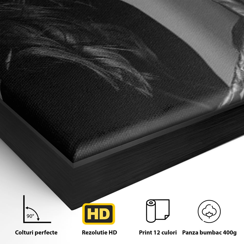 Detaliu al suprafetei: tablou canvas cu femeie in palarie si manusi negre, in rama de aluminiu negru