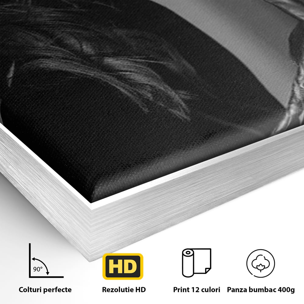 Detaliu al suprafetei: tablou canvas cu femeie in palarie si manusi negre, in rama de aluminiu argintiu
