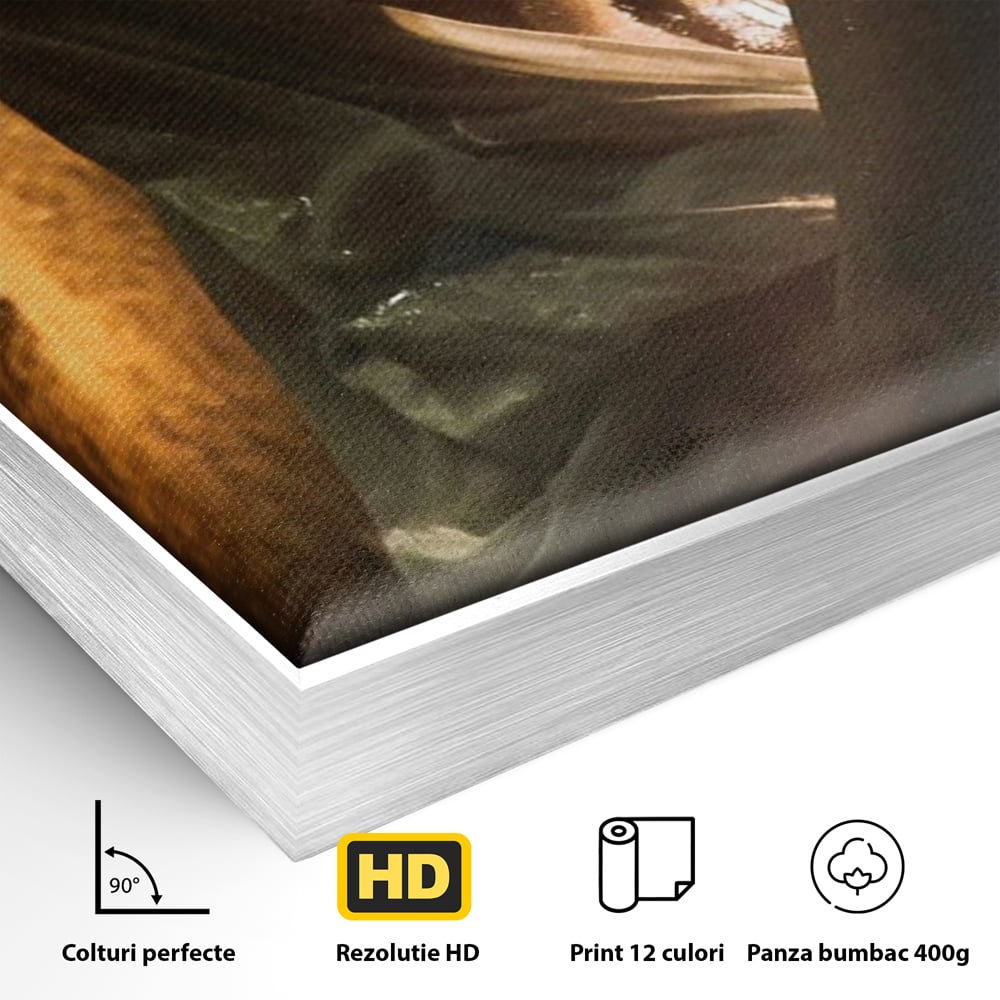 Detaliu al suprafetei: tablou canvas cu silueta umeda in lumina calda, in rama de aluminiu argintiu