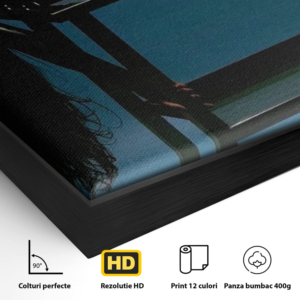 Detaliu al suprafetei: tablou canvas cu silueta curbata pe masa, in rama de aluminiu negru