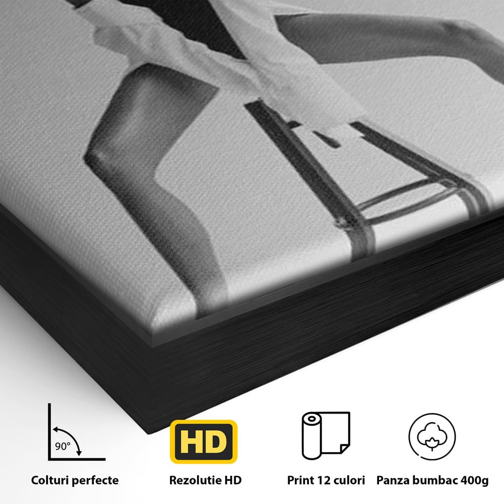 Detaliu al suprafetei: tablou canvas cu femeie pe scaun, in rama de aluminiu negru