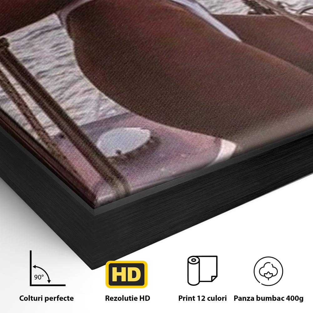 Detaliu al suprafetei: tablou canvas cu femeie pe corabie, in rama de aluminiu negru