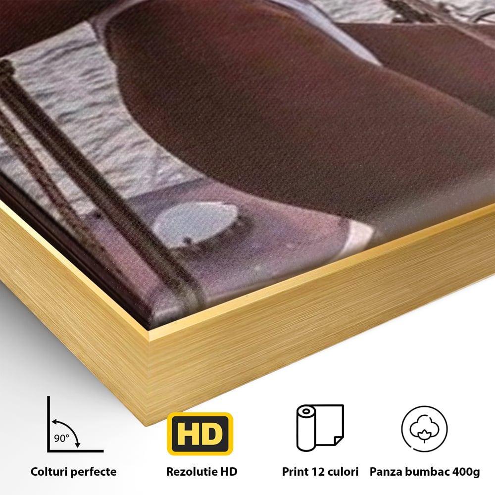 Detaliu al suprafetei: tablou canvas cu femeie pe corabie, in rama de aluminiu auriu