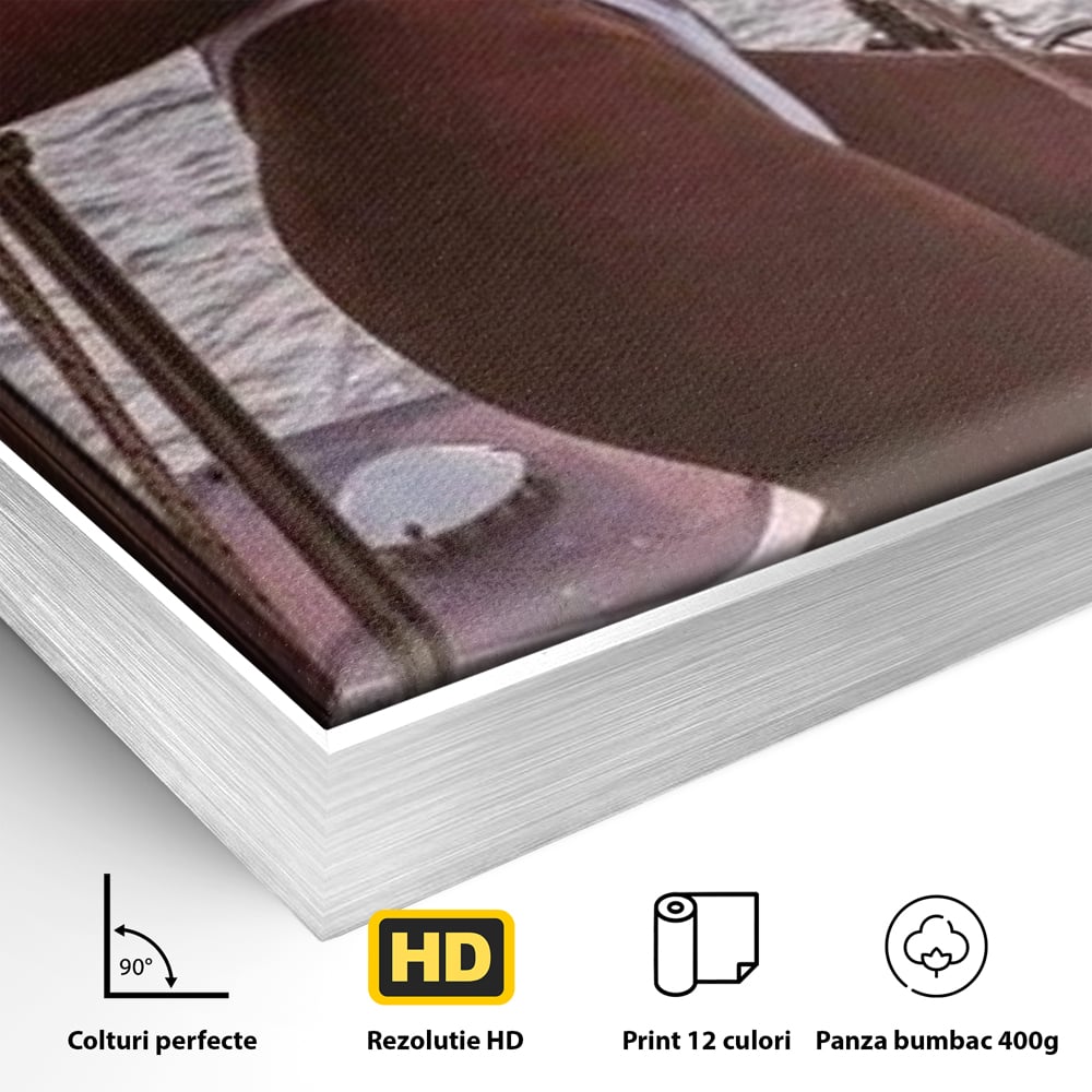 Detaliu al suprafetei: tablou canvas cu femeie pe corabie, in rama de aluminiu argintiu