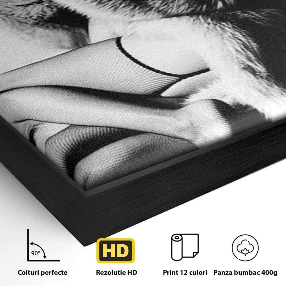 Detaliu al suprafetei: tablou portret femeie retro cu blana, in rama de aluminiu negru
