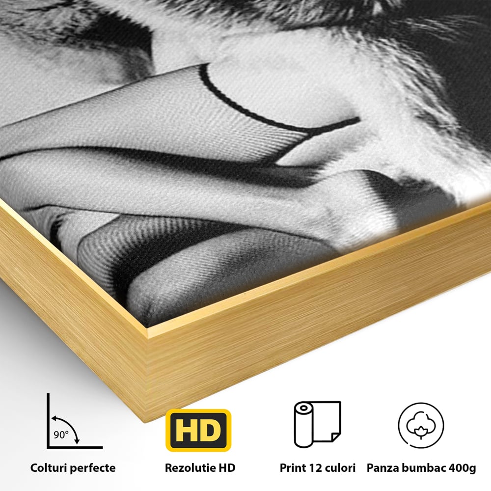 Detaliu al suprafetei: tablou portret femeie retro cu blana, in rama de aluminiu auriu