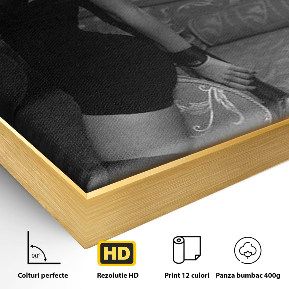 Detaliu al suprafetei: tablou canvas cu femeie mascata, in rama de aluminiu auriu