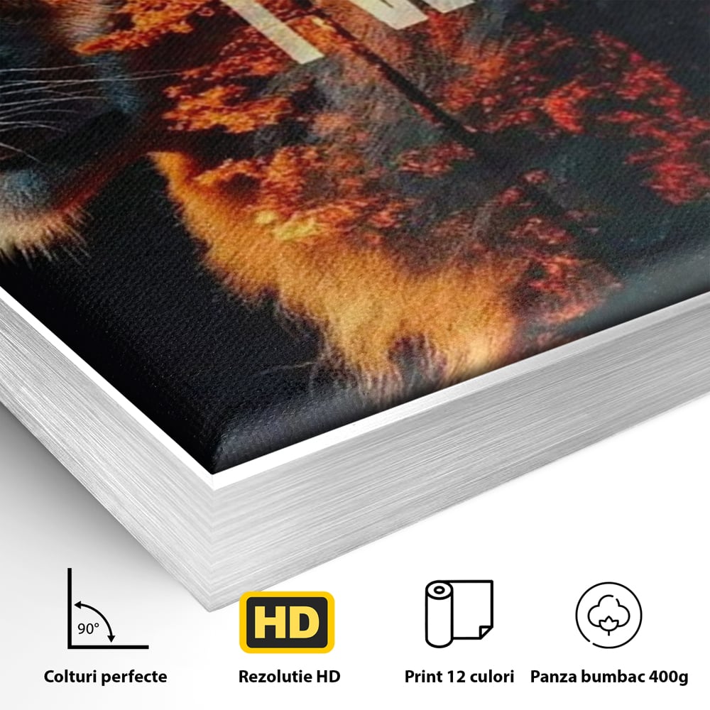 Detaliu al suprafetei: tablou canvas cu leu si padure aprinsa, in rama de aluminiu argintiu
