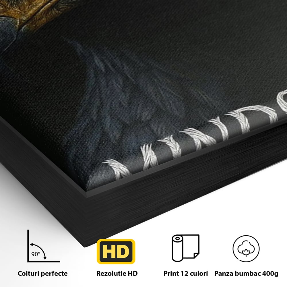 Detaliu al suprafetei: tablou canvas cu vultur si mesaj, in rama de aluminiu negru