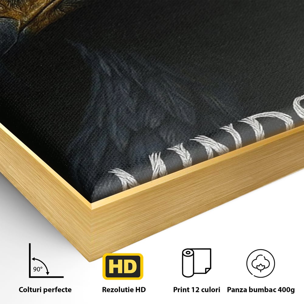 Detaliu al suprafetei: tablou canvas cu vultur si mesaj, in rama de aluminiu auriu