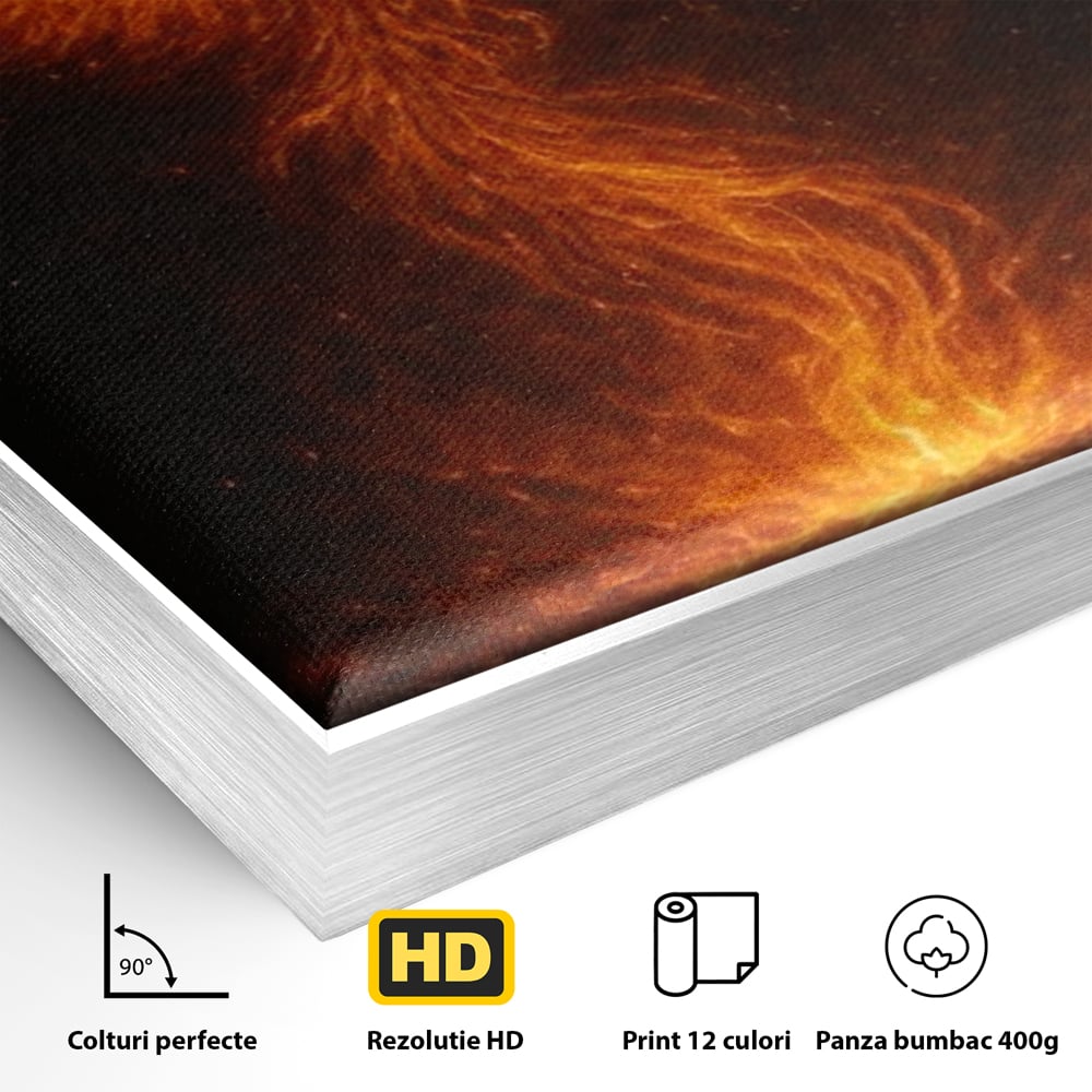 Detaliu al suprafetei: ilustratie digitala cu pasarea phoenix din flacari, in rama de aluminiu argintiu