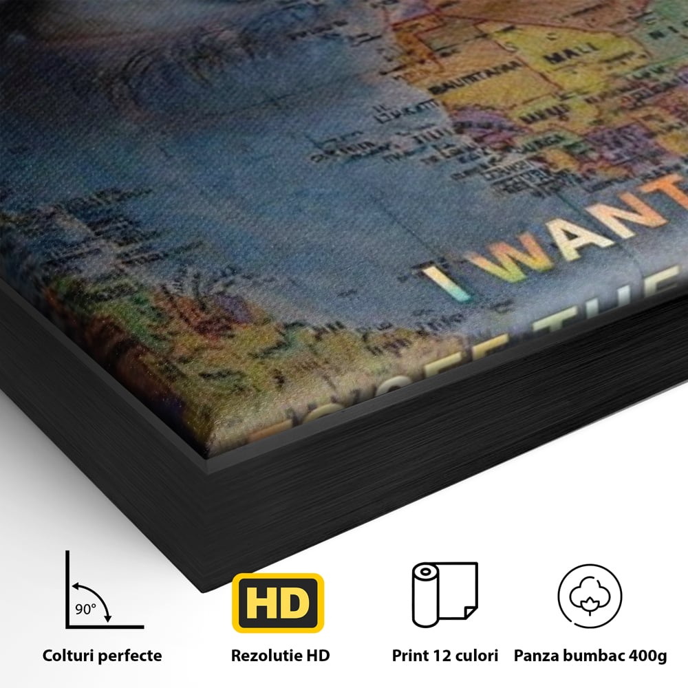 Detaliu al suprafetei: tablou canvas cu ochi uman suprapus pe harta lumii, in rama de aluminiu negru