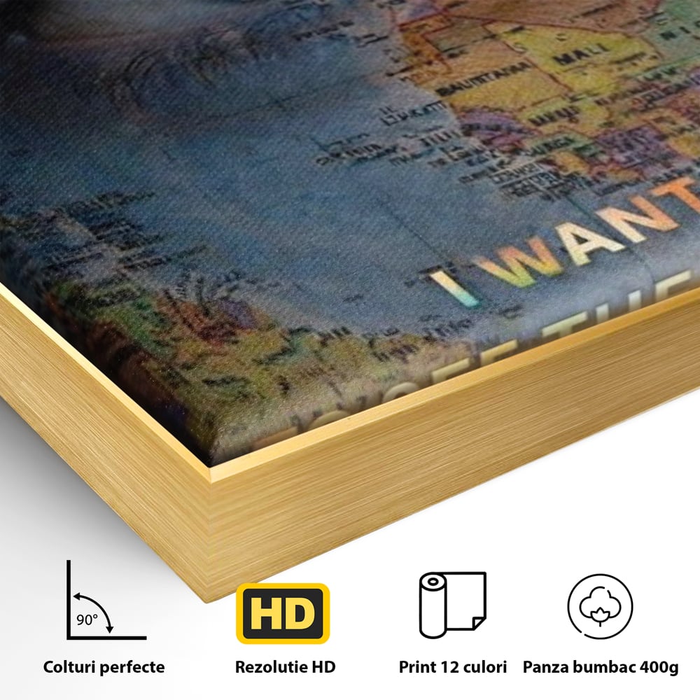 Detaliu al suprafetei: tablou canvas cu ochi uman suprapus pe harta lumii, in rama de aluminiu auriu