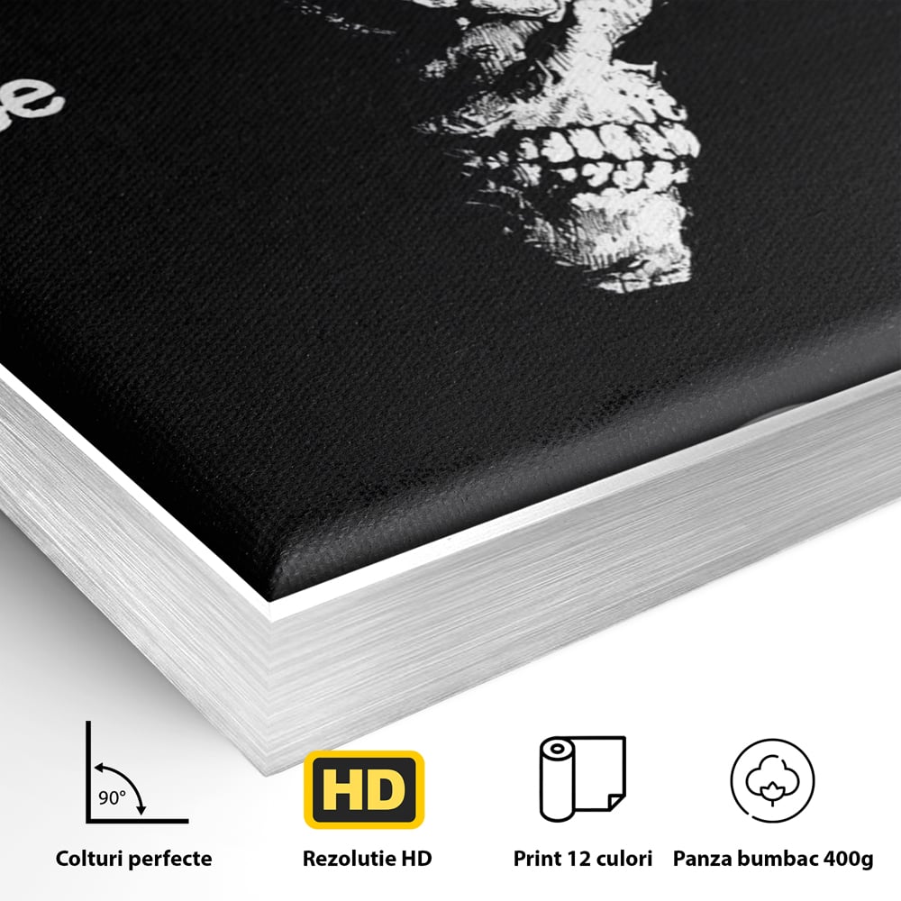 Detaliu al suprafetei: tablou canvas cu craniu si semnul intrebarii, in rama de aluminiu argintiu
