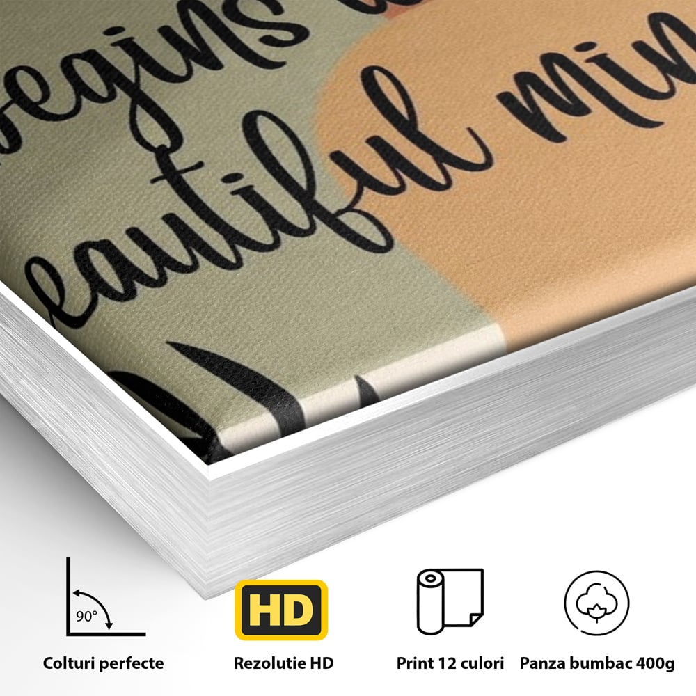 Detaliu al suprafetei: tablou canvas cu mesaj motivational abstract, in rama de aluminiu argintiu