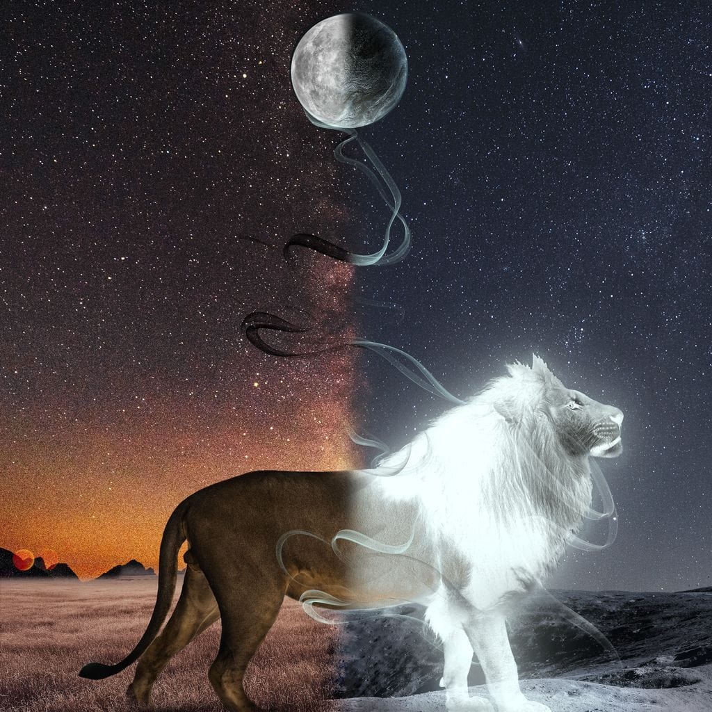 tablou canvas cu un leu in dualitate, pe fundal cosmic cu stele si luna plina