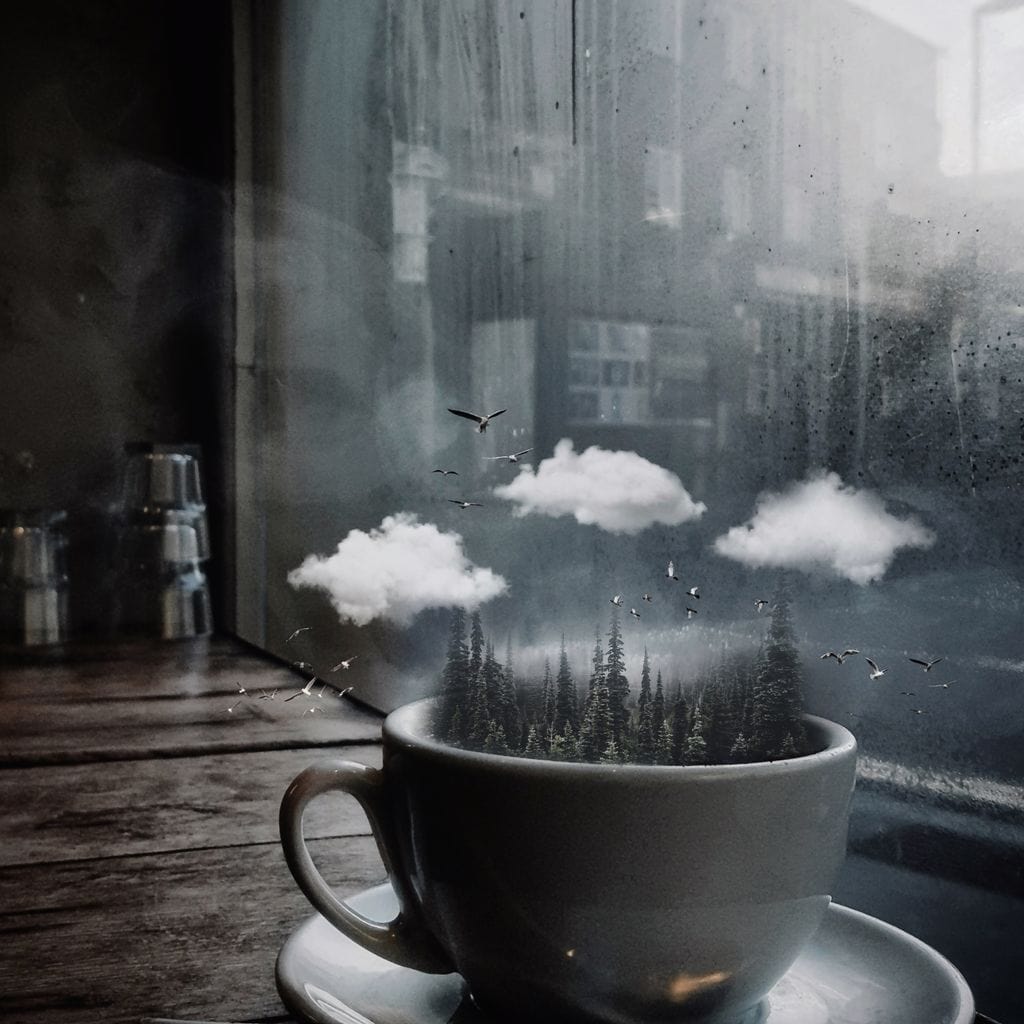 tablou canvas cu o ceasca cu copaci inalti, nori albi si pasari in zbor, la fereastra unei taverne 