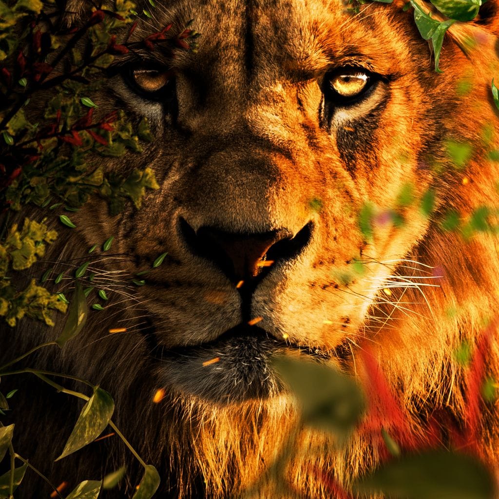 tablou canvas cu un chip de leu surprins la vanatoare printre frunze