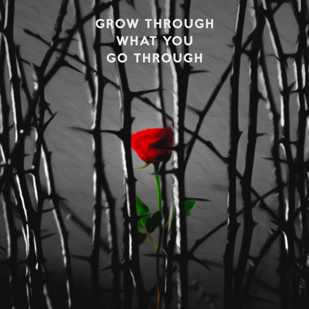 Tablou Canvas Premium LuxCanva® F1000, Puterea de a Inflori , Speranta, Vindecare, Evolutie, Curaj, Perseverenta, Living Room, Culori vibrante