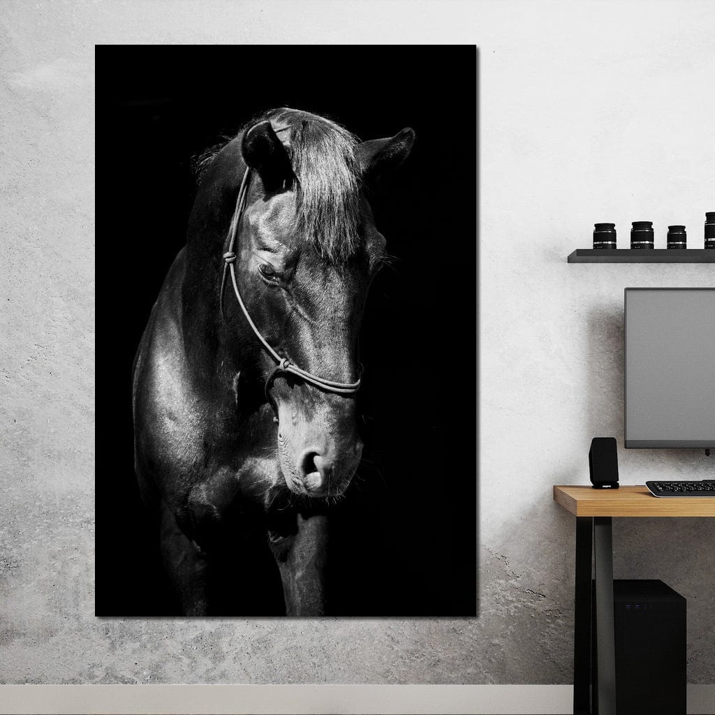 tablou canvas cu un cal surprins din profil in nuante de alb si negru, pe fundal intunecat