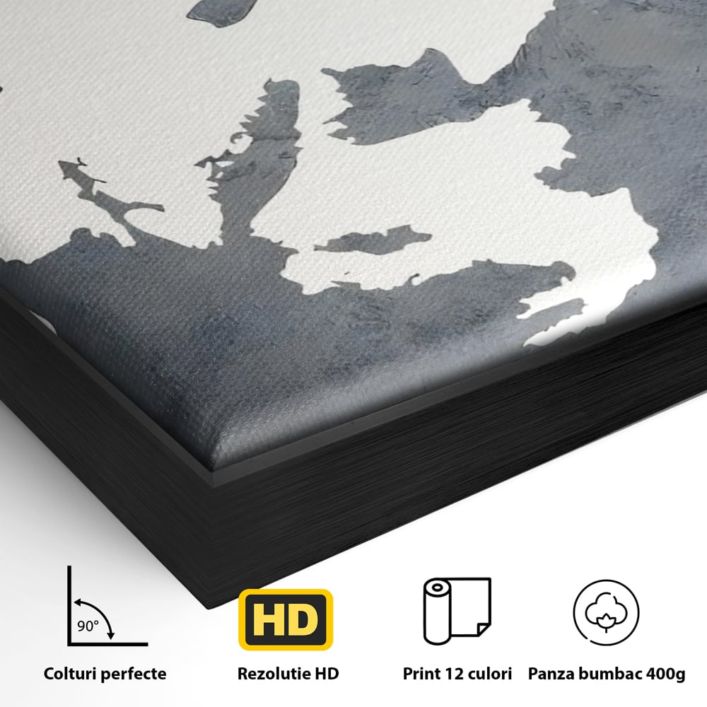 Detaliu al suprafetei: tablou canvas cu portret stilizat, in rama de aluminiu negru