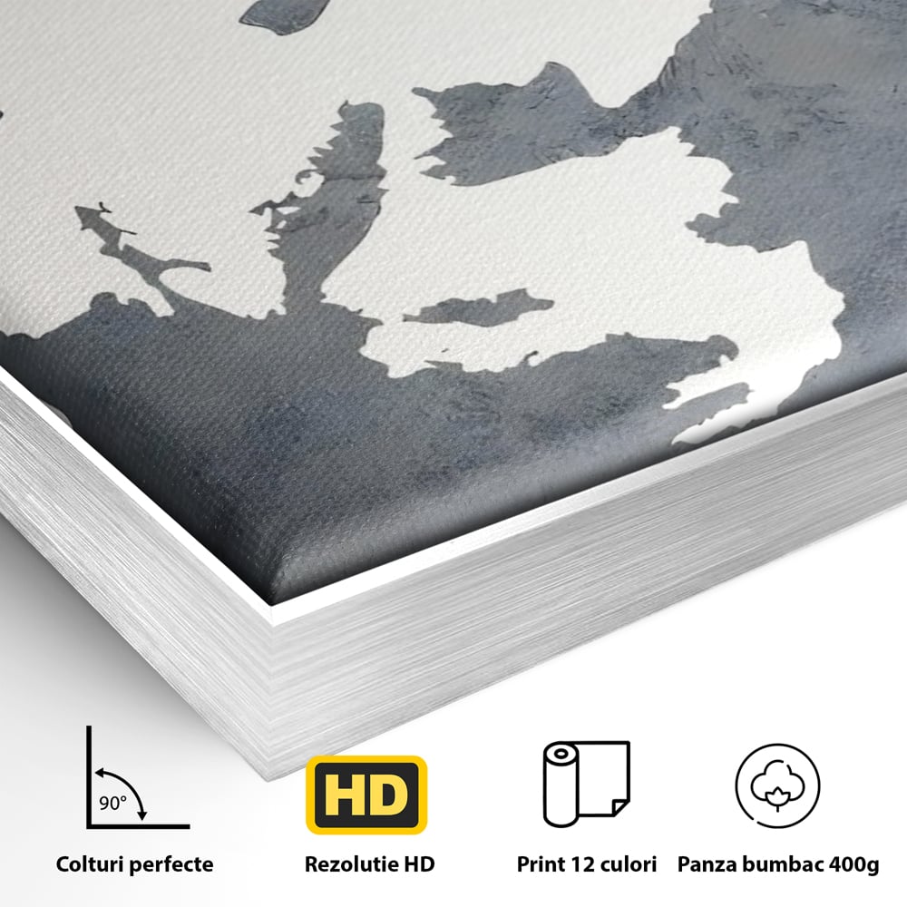 Detaliu al suprafetei: tablou canvas cu portret stilizat, in rama de aluminiu argintiu