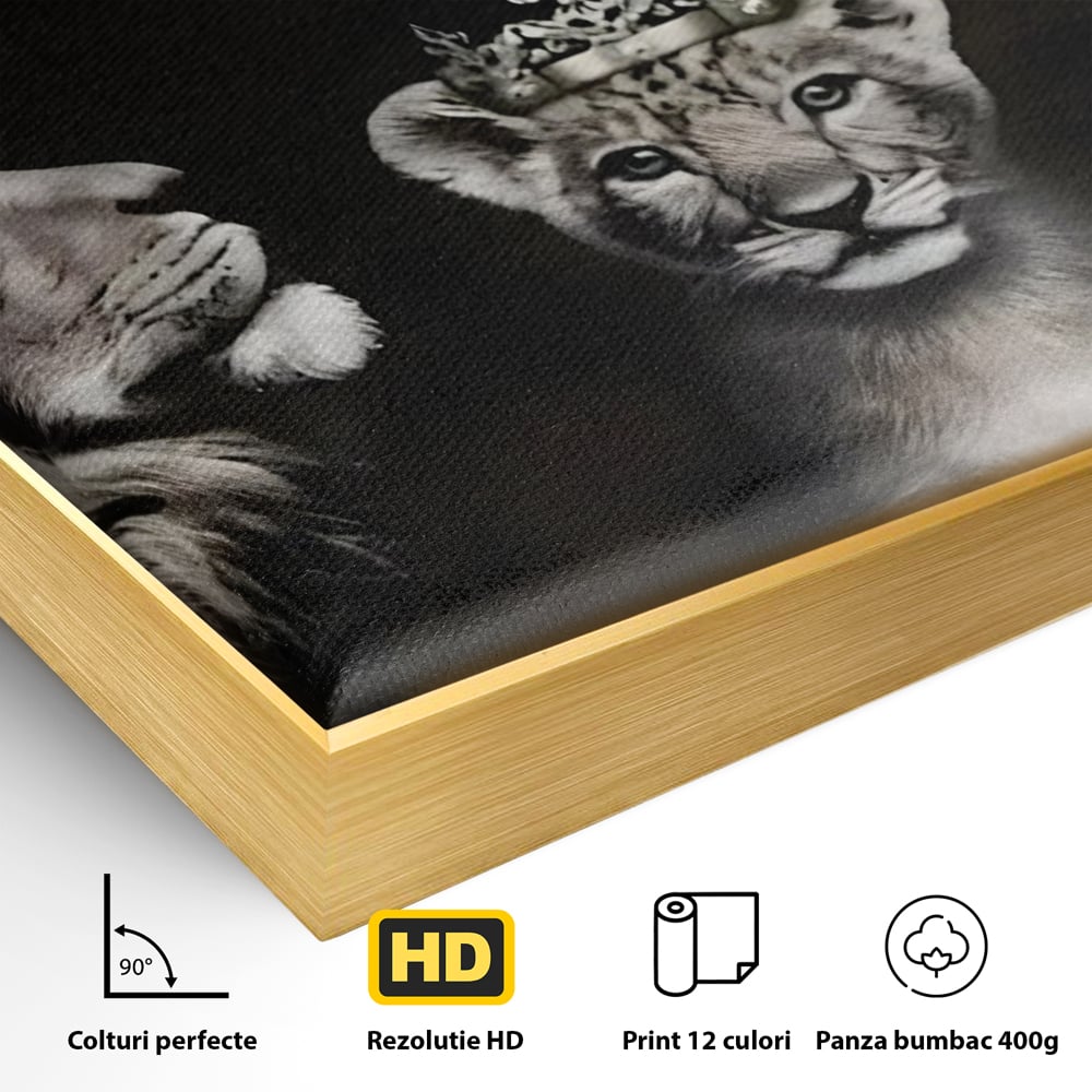 Detaliu al suprafetei: tablou canvas cu familie de lei cu coroane, in rama de aluminiu auriu