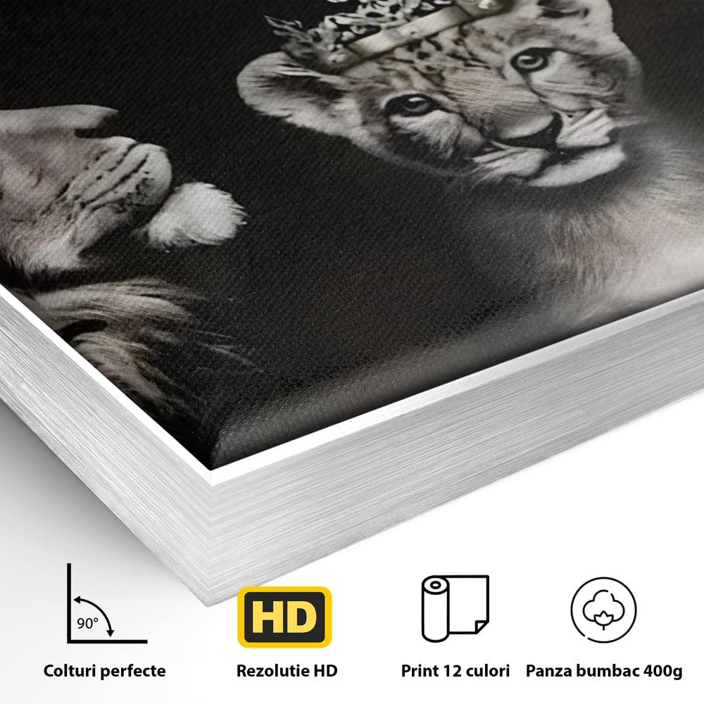 Detaliu al suprafetei: tablou canvas cu familie de lei cu coroane, in rama de aluminiu argintiu