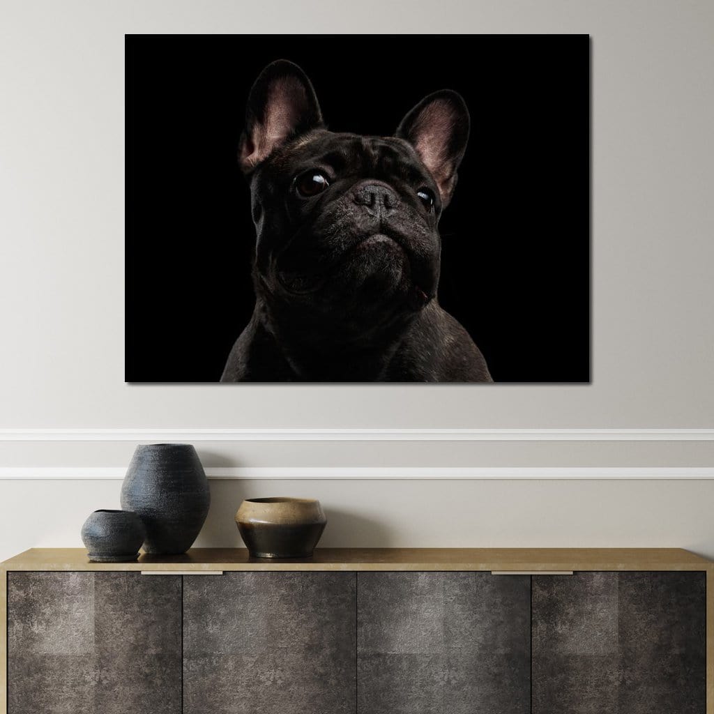 tablou canvas cu un bulldog francez negru cu o privire expresiva, redat realist pe fundal inchis