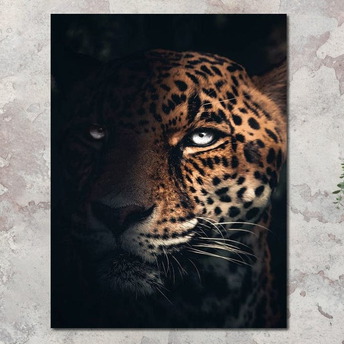 tablou canvas cu un chip de jaguar, cu ochi albastri, surprins in umbra pe fundal intunecat