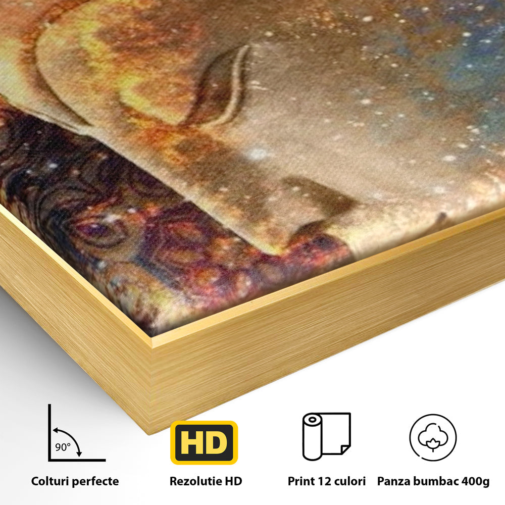 Detaliu al suprafetei: tablou canvas cu profilul lui buddha, in rama de aluminiu auriu