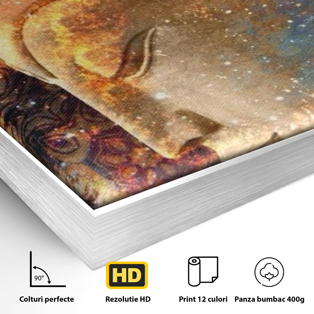 Detaliu al suprafetei: tablou canvas cu profilul lui buddha, in rama de aluminiu argintiu