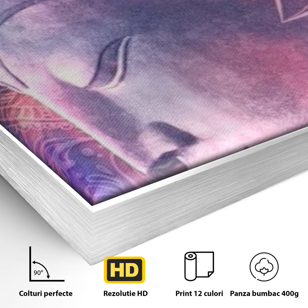 Detaliu al suprafetei: tablou vertical cu profil de buddha, in rama de aluminiu argintiu