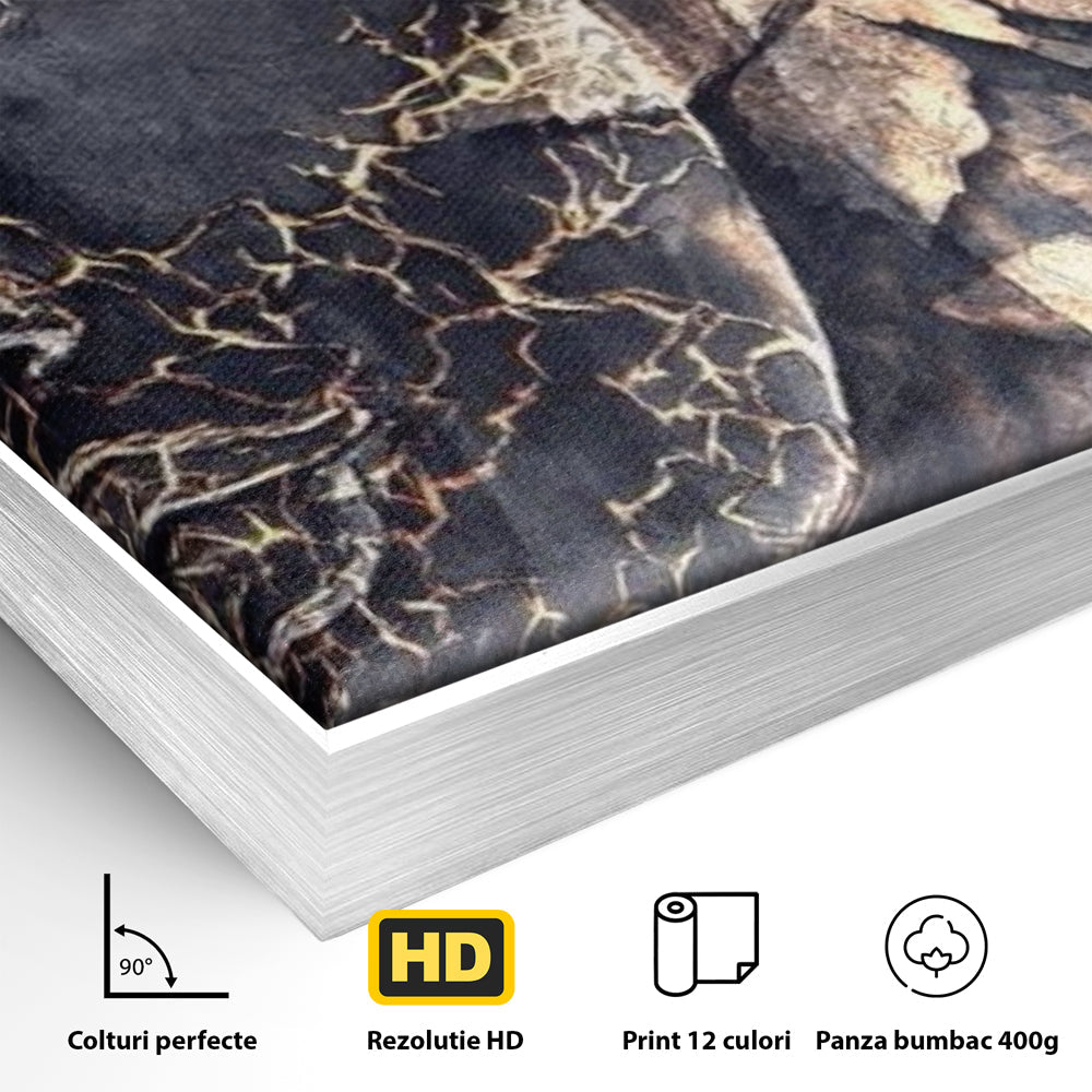Detaliu al suprafetei: tablou canvas cu chipul lui buddha, in rama de aluminiu argintiu
